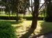 Appartamento Pecetto Torinese foto 9