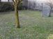 Appartamento Gozzano foto 10